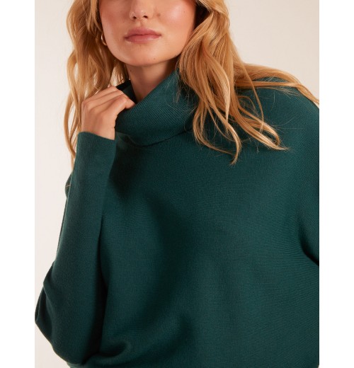 Oversized Roll Neck Batwing Jumper